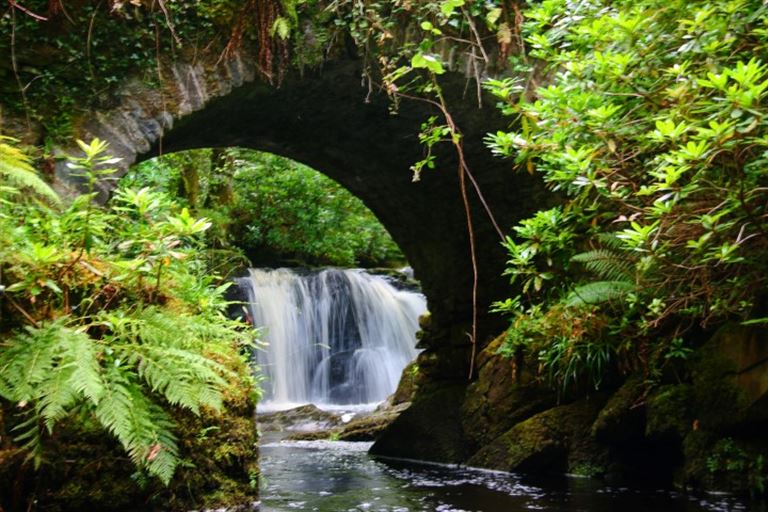 Impressionen Irland @Warren Dowling/istock